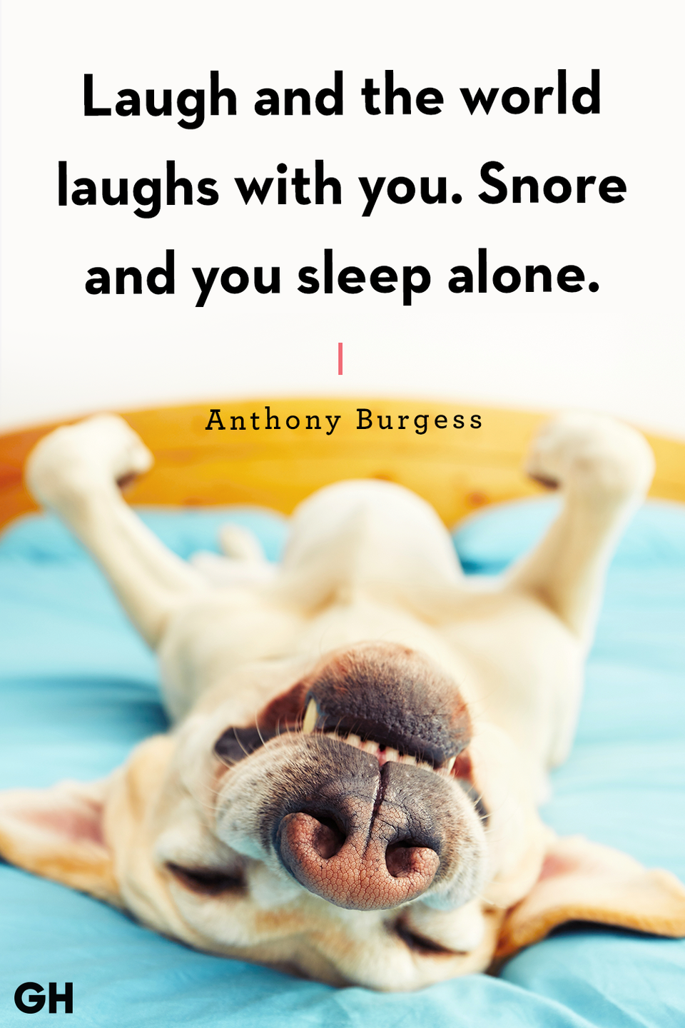 Anthony Burgess