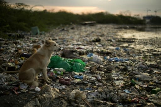 Low rates of rubbish collection in many parts of Asia is one of the main reasons why so much plastic waste ends up in the sea