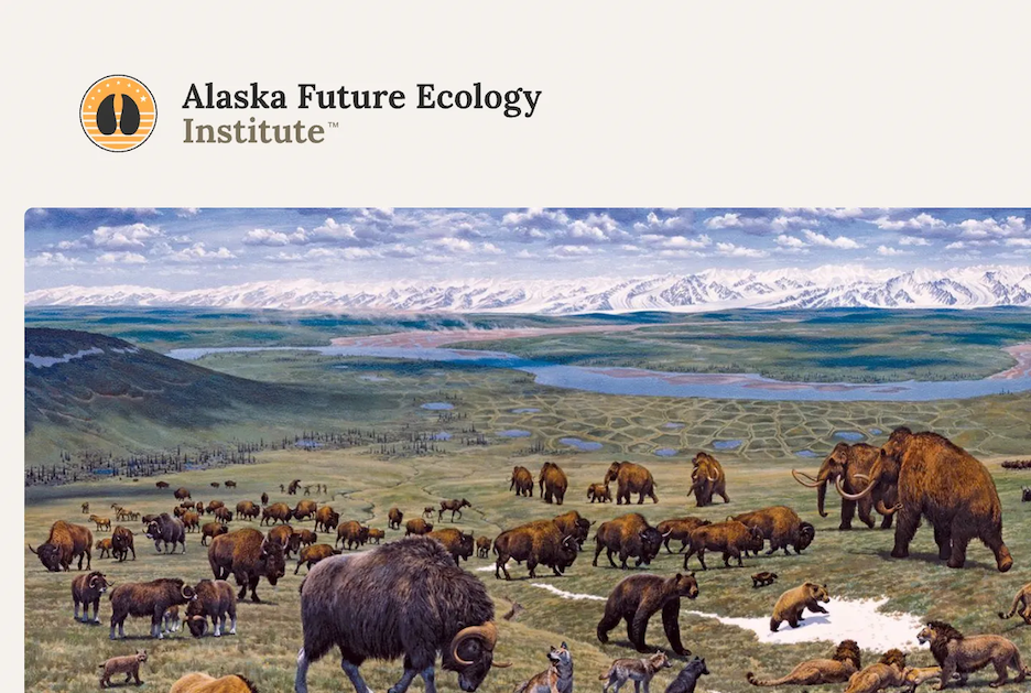A portion of the Alaska Future Ecology Institute site is seen in this image.