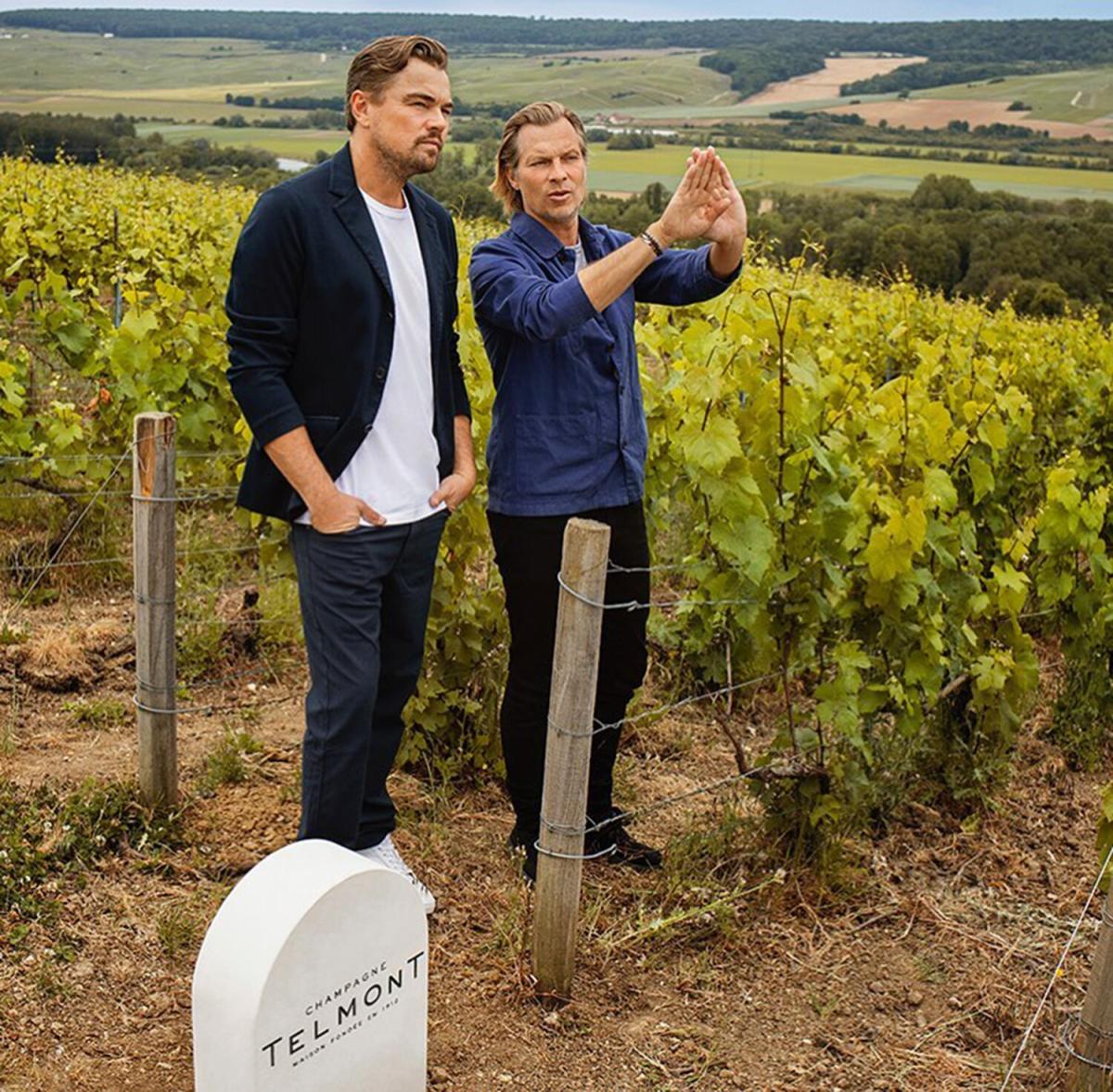 Want to Visit France's Champagne Caves? LVMH to Start Selling Trips