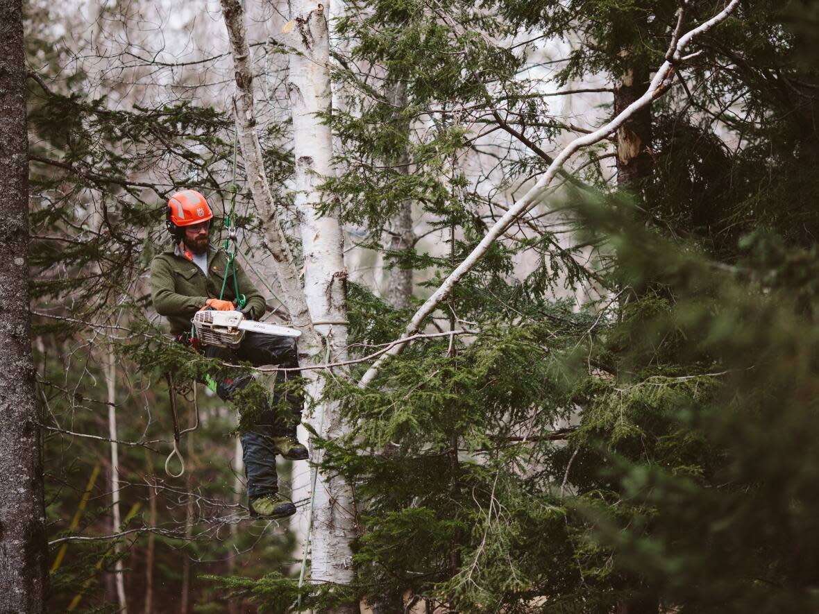 Mitch Jamieson of Atlantic Tree Solutions says proper equipment and training are essential to staying safe while using a chainsaw.  (Submitted by Lauren Innes  - image credit)