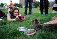 Kristin Backman of Minneapolis photographs Lil Bub before the start of the Walker Art Center's first "Internet Cat Video Film Festival," showcasing the best of cat films on the Internet in Minneapolis Thursday, Aug. 30, 2012. The Walker Art Center in Minneapolis held its first-ever online cat video festival, a compilation of silly cat clips that have become an Internet phenomenon, attracting millions of viewers for some of the videos. (AP Photo/Craig Lassig)