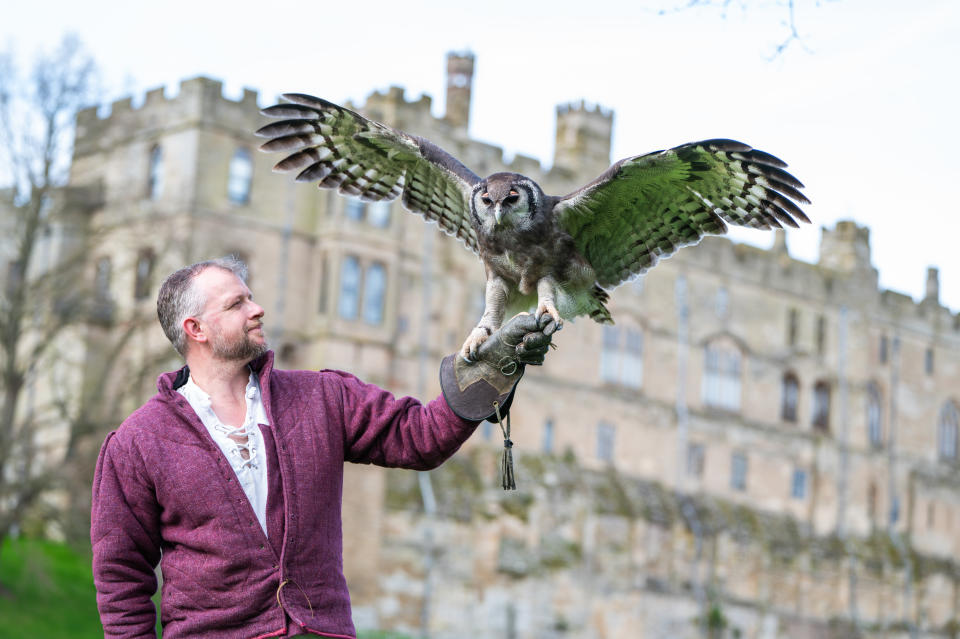 Ernie is retiring after 30 years (Warwick Castle/PA)