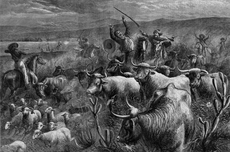 A drawing depicts the cattle raid on the Texas Border in 1874.
