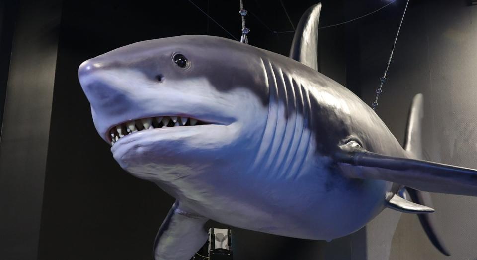 Shark replicas hang from the ceiling in the "Dino Seas" exhibit at Mystic Aquarium. Admission to the new exhibit is $15.