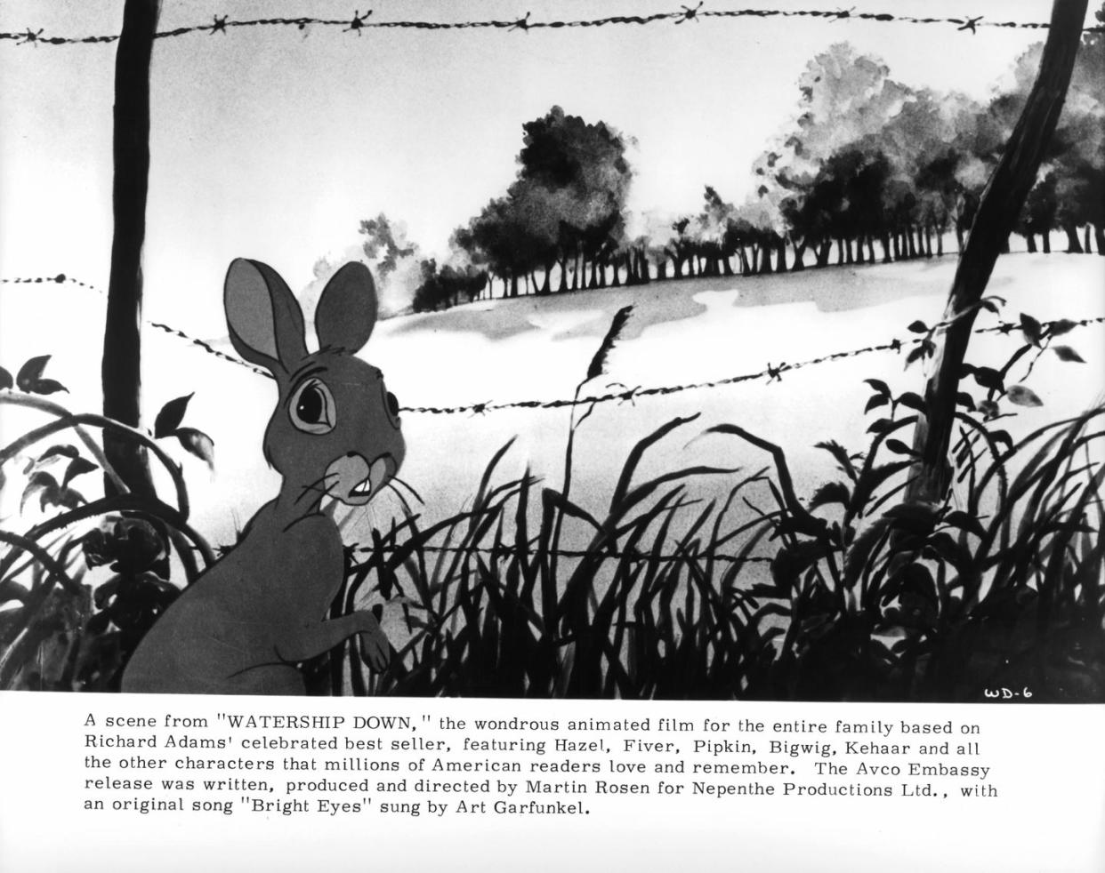 watership down