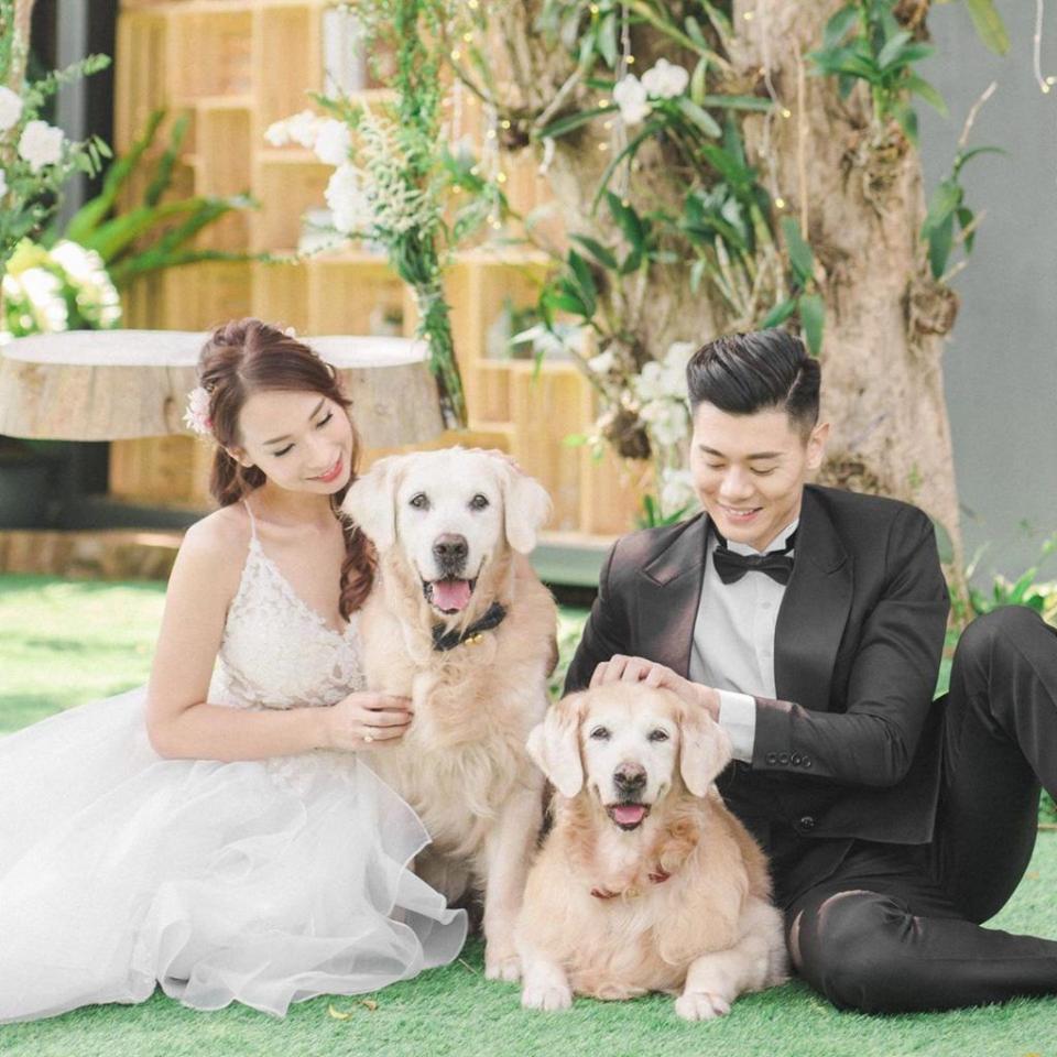 視愛犬如家人，結婚照當然唔少得牠們。