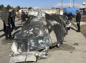 This undated photo provided by the Ukrainian Presidential Press Office, shows the wreckage of the Ukraine International Airlines Boeing 737-800 at the scene of the crash in Shahedshahr, southwest of the capital Tehran, Iran. Iran has acknowledged that its armed forces "unintentionally" shot down the Ukrainian jetliner that crashed earlier this week, killing all 176 aboard, after the government had repeatedly denied Western accusations that it was responsible. (Ukrainian Presidential Press Office via AP)