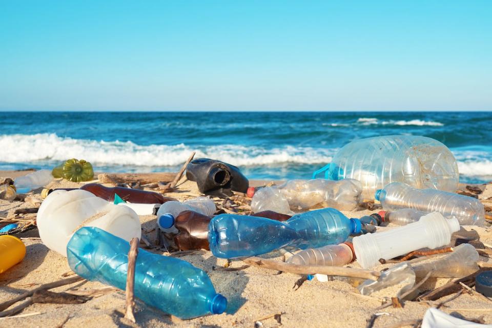 Plastic waste covers a beach.