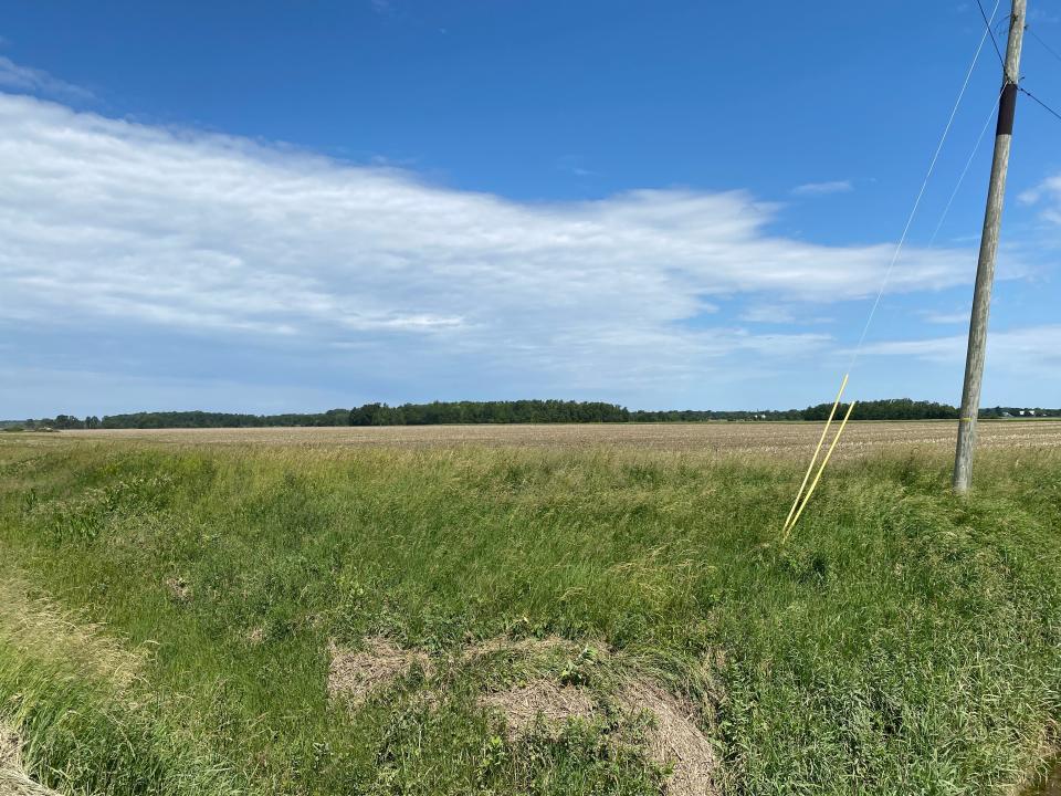 A field at the corner of Laberdee Road and Kerr Highway in Raisin Township, where part of the proposed Beecher Solar project would be built, is pictured Wednesday.