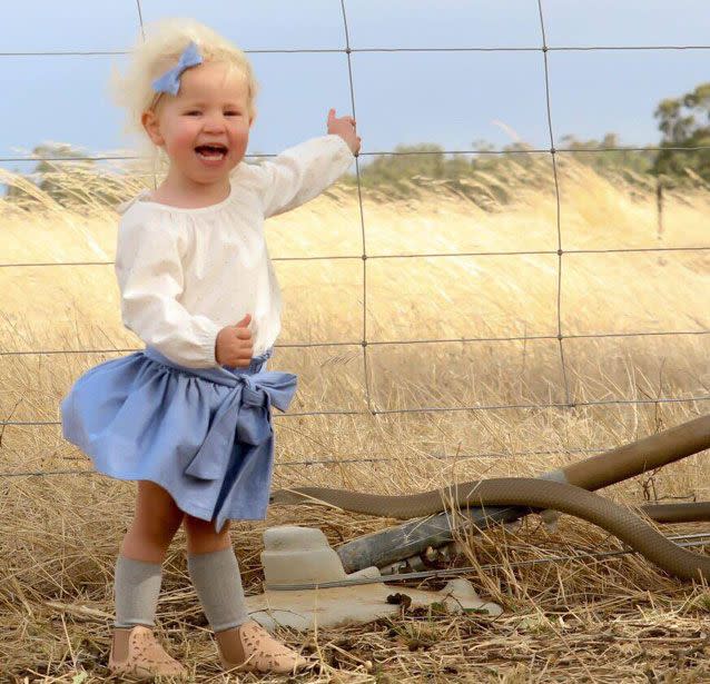 The encounter with the brown snake was caught on camera. Photo: Bianca Dickinson