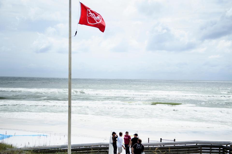 Flesh-eating bacteria is on the rise in the Gulf of Mexico, as waters warm due to climate change.At least three people along Florida’s Gulf Coast over the last month have developed necrotizing fasciitis, a complication of an infection caused by the bacteria known as vibrio vulnificus which can result in “flesh-eating” symptoms. Vibrio vulnificus lives in brackish, high-salinity waters with surface temperatures above 13C. It can cause infections via swimming or consuming and handling raw shellfish from contaminated water. People with open wounds and compromised immune systems are particularly at risk.In July, a 12-year-old girl suffered from the “flesh-eating” symptoms after wading into the Gulf in Destin, Florida with a cut on her foot. She survived. But a father from Memphis, Tennessee who was recovering from cancer lost his life to the virus. 12 hours after getting into the water in Okaloosa County, Florida, he “woke up with a fever, chills and some cramping." He returned to Memphis and went to a hospital, where doctors found "terribly swollen black spot on his back.” His blood turned septic, and he died less than 48 hours after leaving the water. A 77-year-old woman also died from the infection, in June. She entered the water in Central Florida, at a beach on the Gulf in St Petersburg. She got cut on the shin while swimming. 24 hours after exiting the water, she felt pain; the day after, her leg became red and swollen. It eventually turned black; the infection kill her body’s soft tissue.“Her entire body is septic,” her daughter-in-law wrote in a Facebook post chronicling the woman’s death. She died after a week in Hospice care.The virus comes on quickly, with pain, nausea, and flu-like symptoms, and quickly destroys the body.According to Dr Katherine Doktor, an infectious-disease specialist at Cooper University Hospital who recently published a report on the subject, increasingly warm waters in the Chesapeake Bay and along the Gulf Coast are spiking cases of severe incidents related to the bacteria. "In 2017, we saw three cases of severe skin infections, which raised some flags," Dr Doktor told Business Insider. "In 2018, we saw two more. These five cases are significant because in the eight years prior to 2017, we only saw one case of Vibrio vulnificus at our institution."The bacteria has also been spotted in water further north. A case was identified last week in the Tennessee River, when a man kayaking North Alabama contracted it. He survived, as did a child who contracted Vibrio while swimming in the Sinepuxent Bay near Ocean City, Maryland in June."I know we’ve all seen these cases in the Delaware bay but now my little guy got this from being in the bay right by Hoopers,'' the child’s mother wrote in a Facebook post warning others of the bacteria. "Please be careful out there guys and if you start seeing wounds such as these please get somewhere fast!"