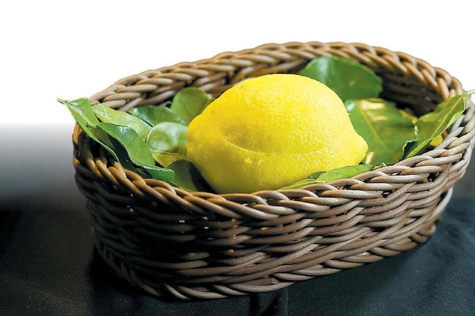 〈檸檬香草奶凍〉是以挖空檸檬當容器盛裝，檸檬香氣更明顯立體。圖／姚舜