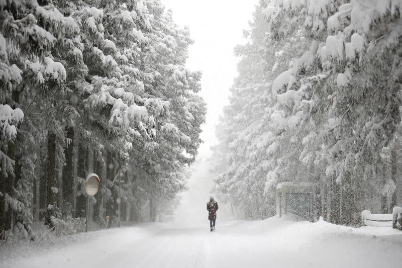 Heavy snowfall on Jeju island