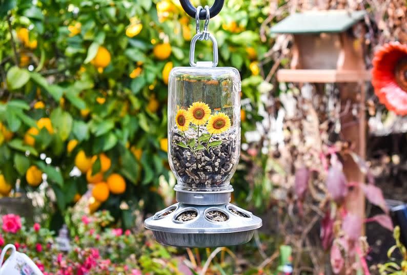 24) Bird Feeder Glass Mason Jar