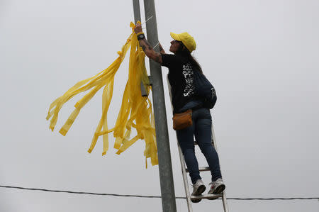 A member of Granoller's Committee for the Defence of the Republic (CDR) hangs yellow ribbons to demand the release of jailed Catalonian politicians in Granollers, Spain May 12, 2018. REUTERS/Albert Gea