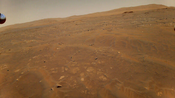 From 10 meters up, the Ingenuity helicopter looks west toward the Séítah geological unit which is Perseverance’s first stop. Credit: NASA/JPL-Caltech