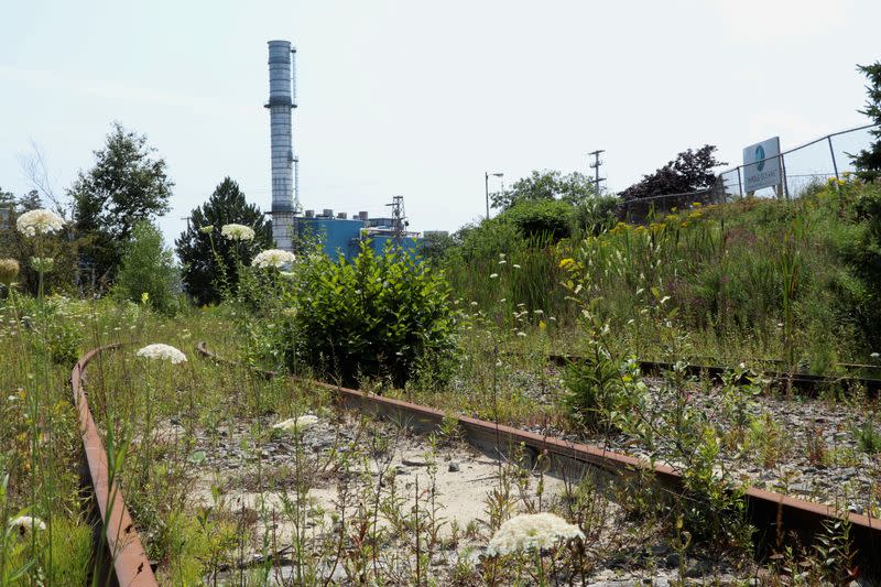 A view of the the site of a paper mill that closed in 2014, where the town of Bucksport, Maine has granted Whole Oceans a permit to build a land-based salmon farm