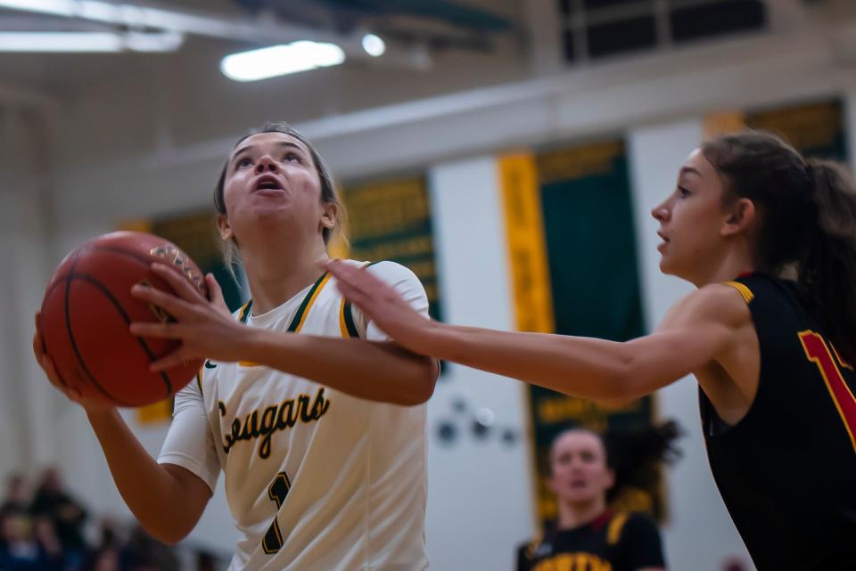 Blackhawk's Deny Moore goes up for two against North Catholic during their game Saturday at Blackhawk High School. [Lucy Schaly/For BCT]