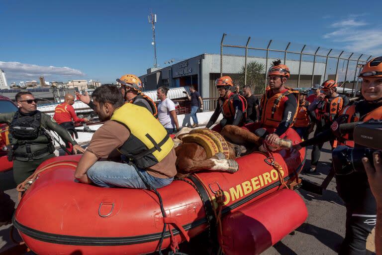 Esta fotografía publicada por el Ayuntamiento de Canoas muestra a bomberos y voluntarios llevando en un bote un caballo que fue rescatado del techo de una casa en la ciudad de Canoas, estado de Rio Grande do Sul, Brasil, el 9 de mayo de 2024