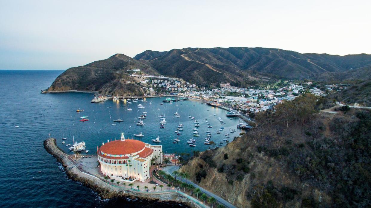 overhead view of catalina island with water, the red roofed, round casino and boats in the harbor