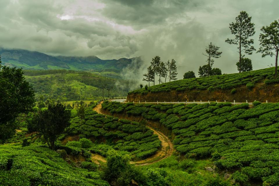 Monsun-Regen in Indien