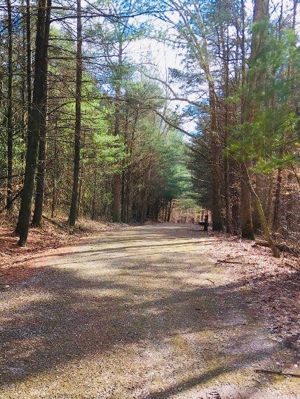 Exploring the Pioneer Mothers Memorial Forest. Some trees are down from tornado damage last summer but it’s still a beautiful trail.