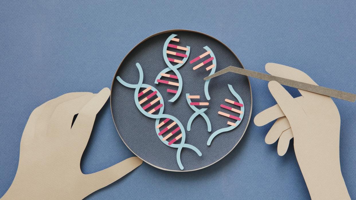  Splicing DNA in petri dish. 