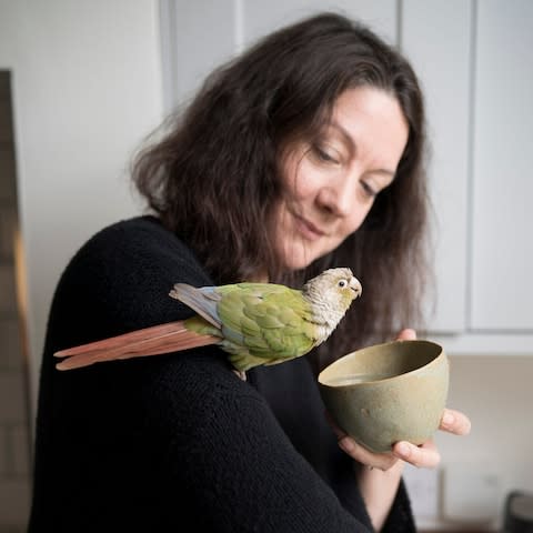 Helen Macdonald at home with Birdoole - Credit: Andrew Crowley