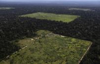 An aerial view shows a tract of Amazon rainforest which has been cleared by loggers and farmers for agriculture near the city of Santarem, Para state in this April 20, 2013 file photo. To match Special Report BRAZIL-DEFOREST/ REUTERS/Nacho Doce/Files (BRAZIL - Tags: ENVIRONMENT CRIME LAW POLITICS BUSINESS)