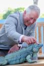 <p>Stroking a blue iguana named Peter at the Royal Botanic Park. </p>