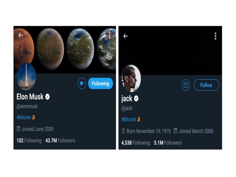 Musk's and Dorsey's Twitter profiles (Twitter, CoinDesk)