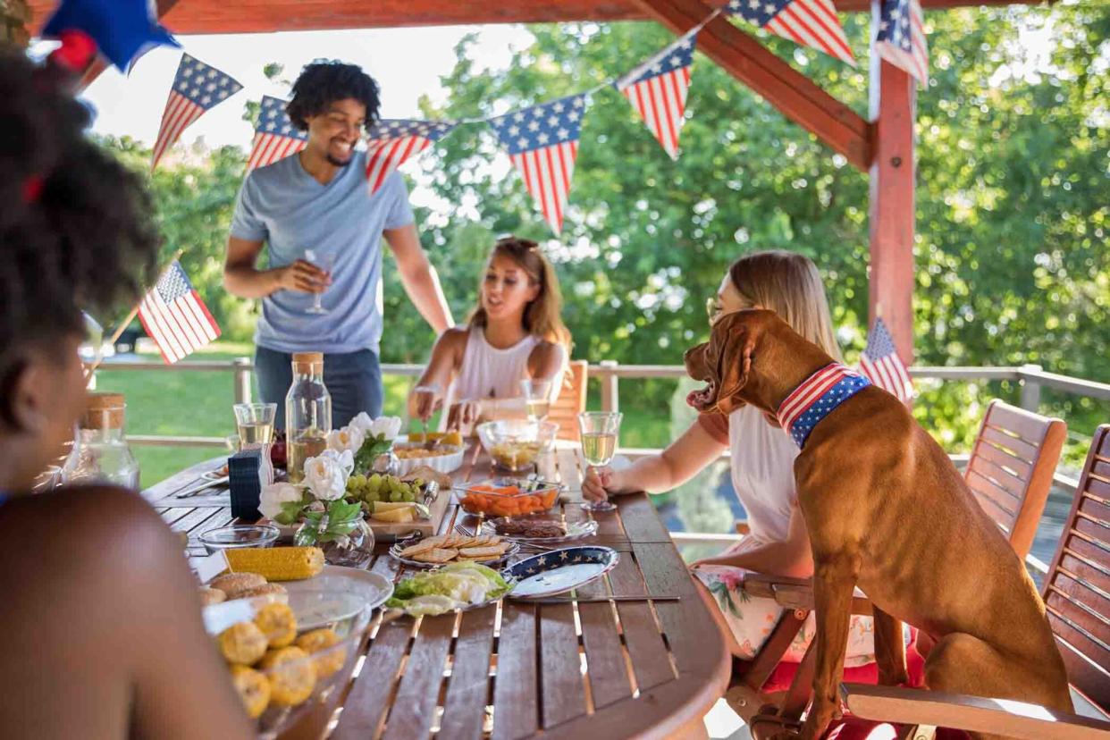 friends get-together for a fourth of July picnic celebration with their dog