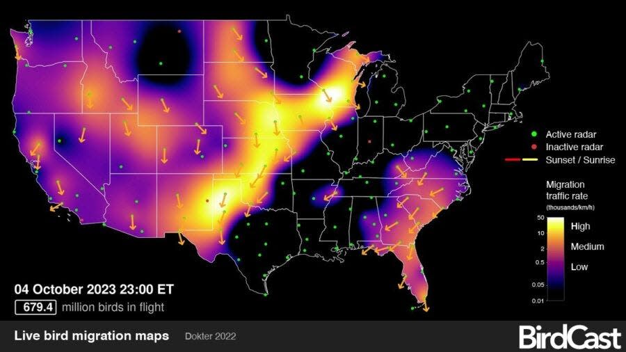 Radar data via BirdCast showed an intense line of migrating birds headed east across the U.S. late on Oct. 4, 2023, following a break in the weather after storms had suppressed bird movement.