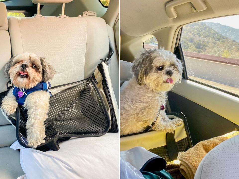 Two images of a white dog in a gray carrier on a gray car seat.