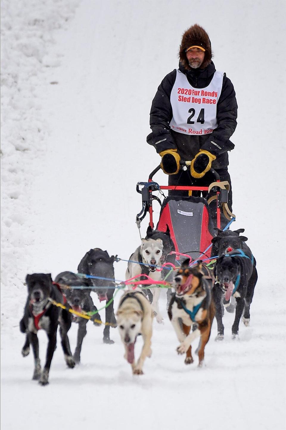 ANCHORAGE, AK - FEBRUARY 29: Lance Mackey (Fairbanks, AK) drives his team in the Open World Championship Sled Dog Races during the Fur Rendezvous Winter Festival on February 29, 2020 in Anchorage, Alaska. (Photo by Lance King/Getty Images)