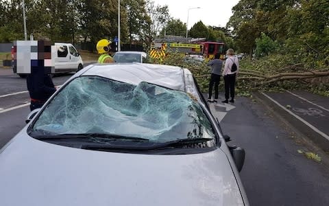  a car damaged by a fallen tree, with no injuries, in Dublin - Credit: Dublin Fire Brigade/Twitter 