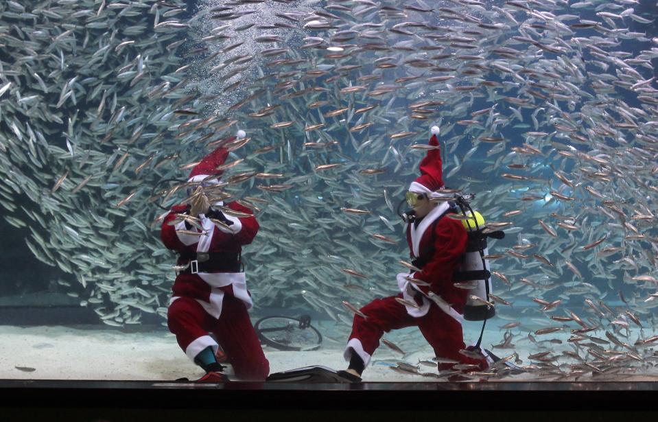 Santa Claus Diver Performs In Seoul