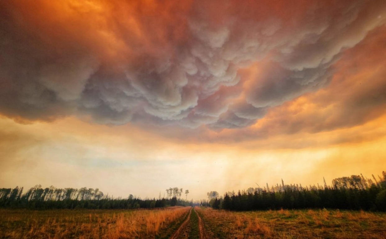 Alberta wildfire season is off to a blazing start, 57 fires burning