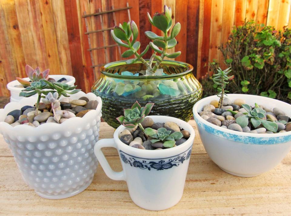 After: Succulent Planters