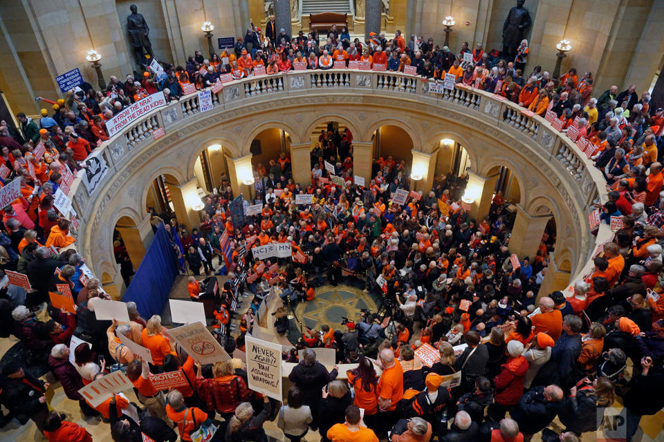 Minnesota Legislature Guns