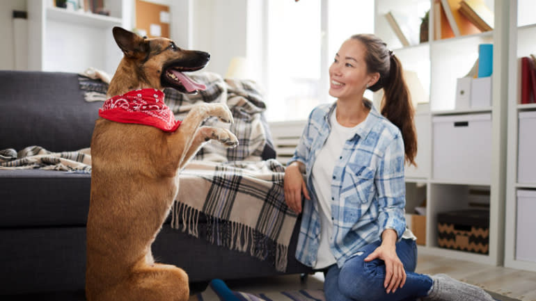 DOG-friendly-singapore-OWNERS-WHERE-TO-LIVE