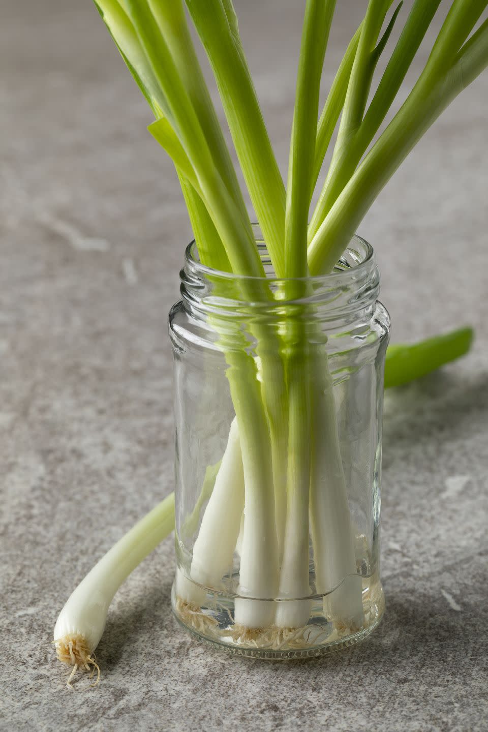 how to grow onions