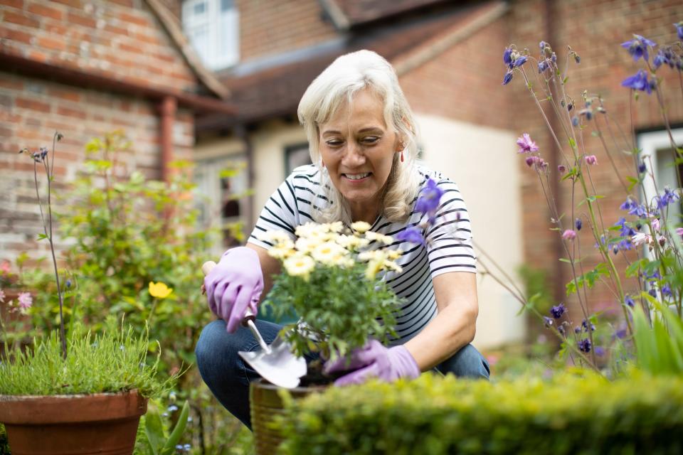 These picks will help you create an accessible garden.