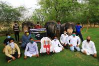 Elephant Village Development Society President Ballu Khan along with elephants and mahouts pay tribute to a wild pregnant elephant who recently killed in Kerala, at Elephant Village in Jaipur,Rajasthan,India, June 4, 2020. (Photo by Vishal Bhatnagar/NurPhoto via Getty Images)