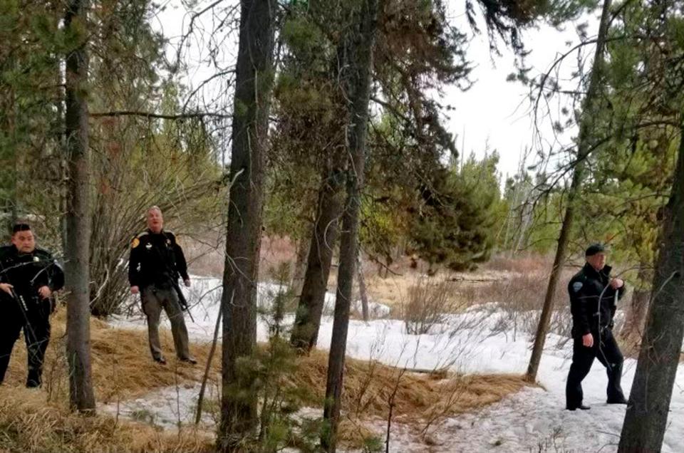 <p>Police officers are seen near the site of a grizzly bear mauling just outside Yellowstone National Park in Montana. Authorities said Charles 