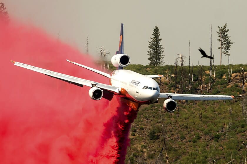 A bird flies above an air tanker battling the Oak Fire in Mariposa County, Calif., on Sunday, July 24, 2022. (AP Photo/Noah Berger)