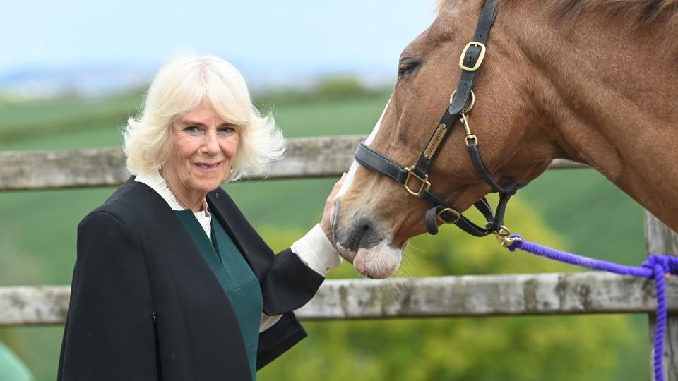 She has a life-long love for horses