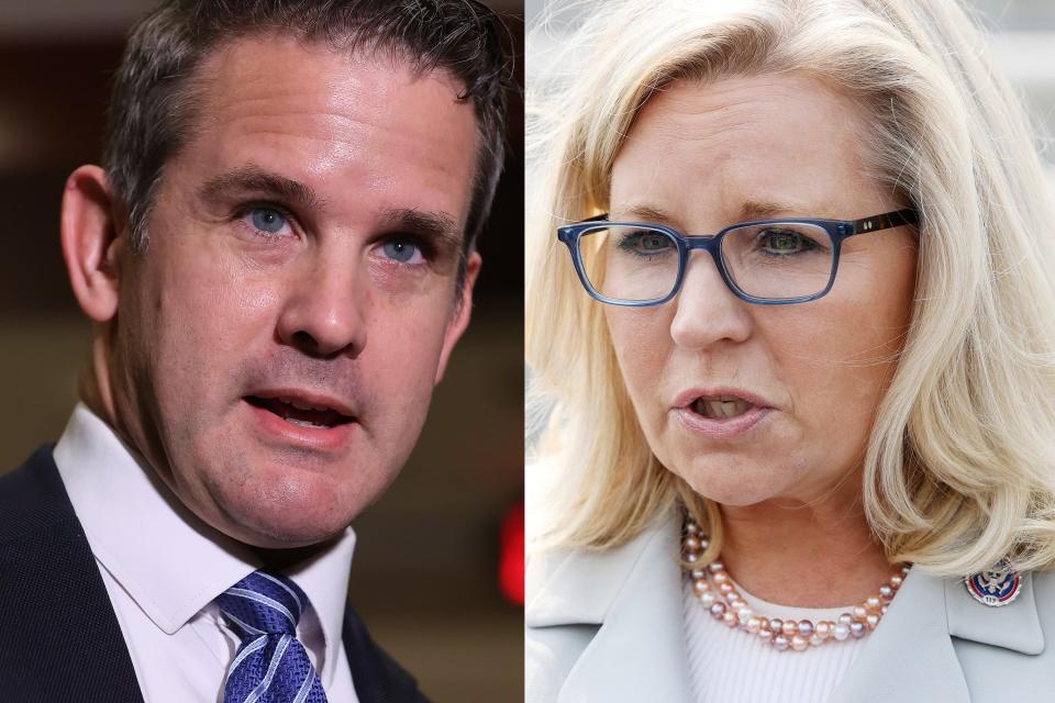 Rep. Adam Kinzinger, R-Ill., and Rep. Liz Cheney, R-Wyo.