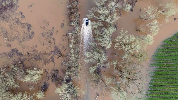 PHOTO: A vehicle drives on a flooded road in Sebastopol, California, Jan. 05, 2023. (Josh Edelson/AFP via Getty Images)